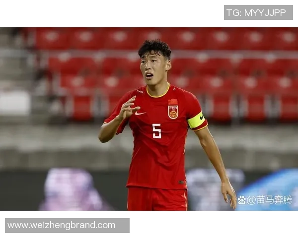 国内足球退役球星回顾与现状分析 如何影响中国足球未来发展